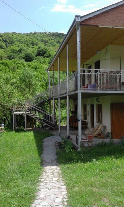 Marine'S Guest House Ananuri Εξωτερικό φωτογραφία
