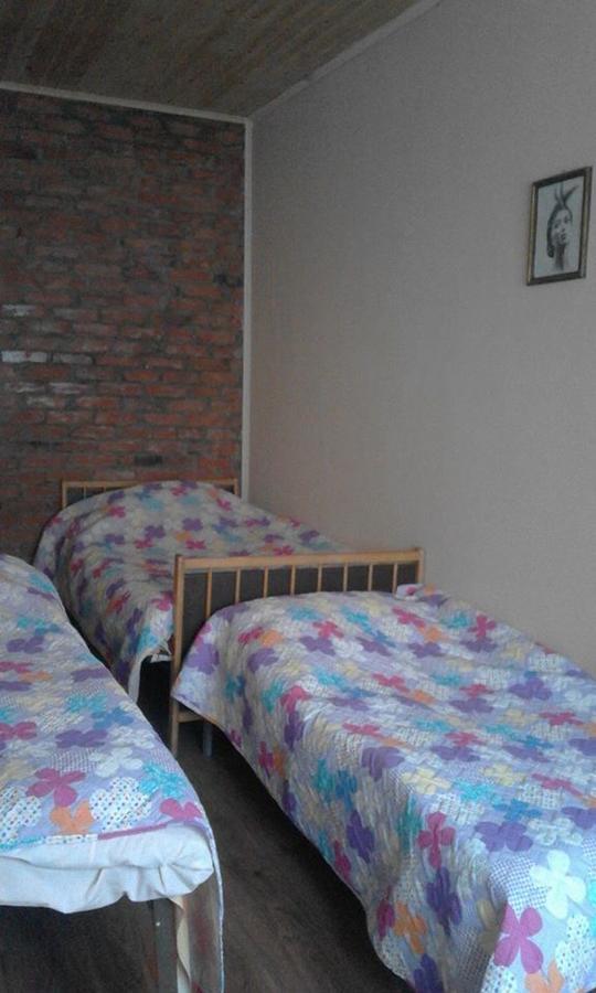 Marine'S Guest House Ananuri Εξωτερικό φωτογραφία