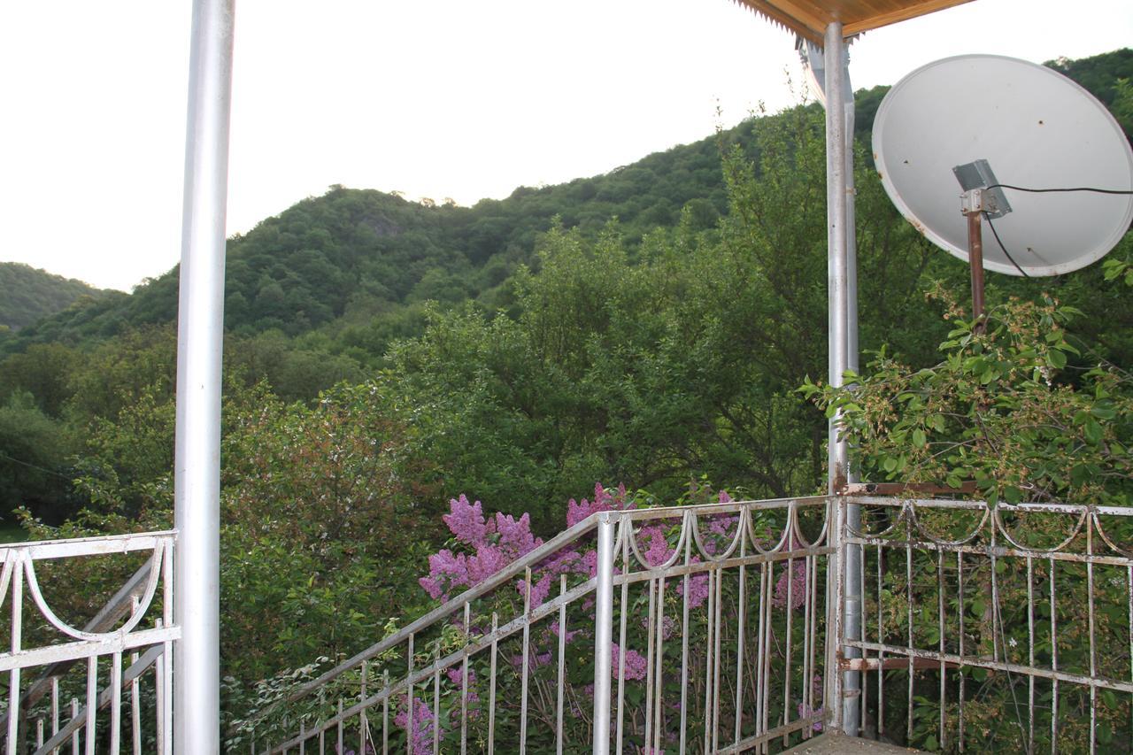 Marine'S Guest House Ananuri Εξωτερικό φωτογραφία