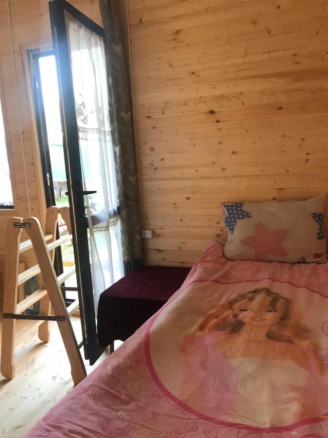 Marine'S Guest House Ananuri Εξωτερικό φωτογραφία